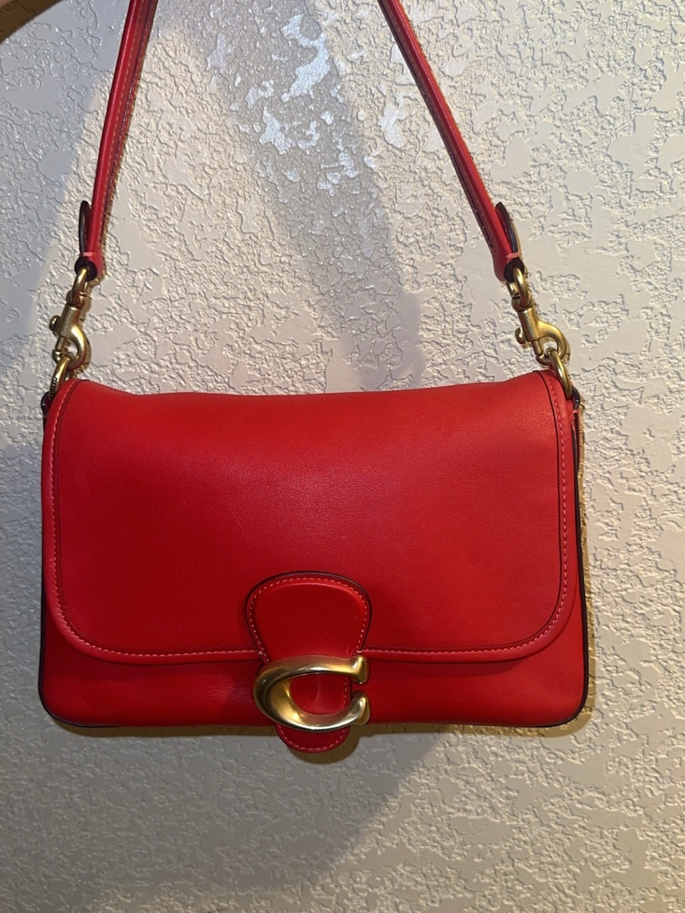 Red coach soft tabby